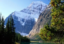 手机上赌足球的软件有哪些风险？该如何远离？